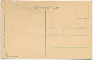 Miskolc, Diósgyőri várrom. Schvarcz Soma kiadása (ázott / wet damage)