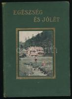 Kress D. H.: Egészség és jólét hogyan élhető el? Bp.,én.,"Élet és Egészség." 2. kiadás. Kiadói aranyozott egészvászon-kötés, kopott borítóval, egy lap szélén szöveget nem érintő kis hiánnyal, foltos lapokkal.