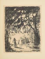 Chamisso, Adalbert von: Schlemihl Péter csodálatos története. Ford.: Bálint Lajos. Zádor István nyol...