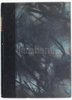 Fellner Frigyes, ifj.: Távolkelet közlekedésügye. A szerző, ifj. Fellner Frigyes (1908-1940) közgazd...