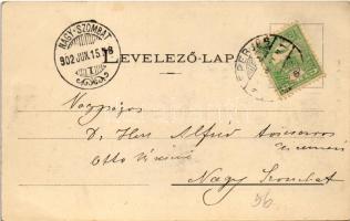 1902 Bártfa, Bardiov, Bardejov; A tűzvészben elpusztult Bártfa. Házcsoport a déli várfalaknál. Dival...