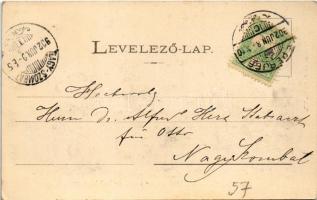 1902 Bártfa, Bardiov, Bardejov; A tűzvészben elpusztult Bártfa. A keleti bástya a mellette lévő házc...