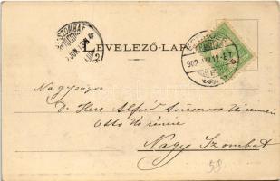 1902 Bártfa, Bardiov, Bardejov; A tűzvészben elpusztult Bártfa. A nyitott bástya a elpusztult házakk...