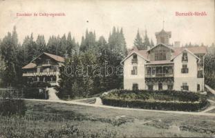 Borszékfürdő Villa Excelsior and Villa Csiky