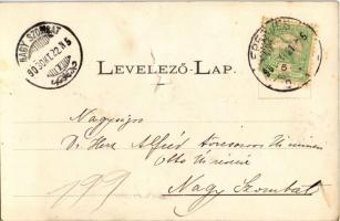 1903 Eperjes, Presov; II. Rákóczi Ferenc emlékünnepély alkalmából 1903. szeptember 27. Divald / memo...