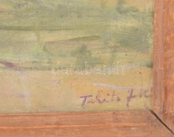 Takáts Zoltán (1914-1983): Napfényes udvar menyecskékkel. Olaj, vászon. Jelezve jobbra lent. Sérült....