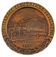 1983. "III. Iparági Elektrikus Vetélkedő - Kárpát u. Alállomás ELMŰ - 1983" egyoldalas bronz emlékérem (84mm) T:XF