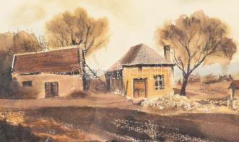 Madarász Tibor (1937-): Eső után. Akvarell, papír, jelzett, Dekoratív, üvegezett fakeretben. Hátolda...