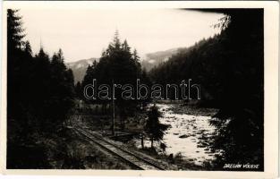 Dregán-völgye, Valea Draganului; vasúti sín / railway track