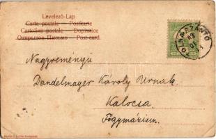 1903 Erdély, román juhász. Kanitz C. és fiai / Rumänischer Hirte aus Siebenbürgen / Romanian shepher...