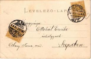 1900 Art Nouveau, floral, litho greeting card with clover (EK)