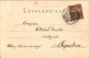 1900 Art Nouveau, floral, litho greeting card with clover (EK)