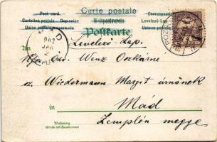 1901 Boldog Újévet / New Year greeting art postcard. litho (EK)