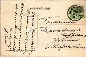 1908 Alsókubin, Dolny Kubín (Árva, Orava); Fő tér / main square (vágott / cut)