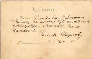 Wien, Vienna, Bécs; Hofburg. Gegen das Licht zu halten / royal castle. Kunstanstalt Kosmos 172. Hold...