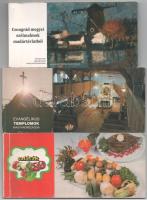 5 db MODERN képeslap füzet: Csongrád megyei szélmalmok, magyar evangélikus templomok, saláták, Kecskeméti magyar naiv művészek múzeuma, Képek és szobrok Komárom-Esztergom megyéből