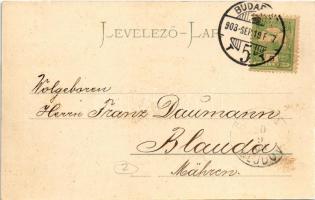 1903 Budapest I. Királyi vár és várbazár, Pesti kikötő, "FIUME" gőzhajó (fl)