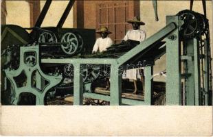 This view shows the first mechanical operation which the sisal leaves of Yucatan undergo in the great sisal growing industry. Leaves are run through this mangling machine where all but the fibre is removed / A mechanikus művelet során szizálból a rost kivételével mindent eltávolítanak (fl)