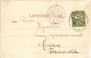 1907 Nagybánya, Baia Mare; Látkép a Széna térről. Rozsa Simon kiadása / general view (EK)