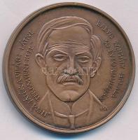 Fritz Mihály (1947-) 1991. "MÉE Szekszárd - Szeged / Babits Mihály halálának 50. évfordulóján" kétoldalas bronz emlékérem (42mm) T:AU  Adamo SZ1