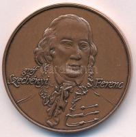 DN "Magyar Nemzeti Múzeum / Gróf Széchényi Ferenc" Br emlékérem (42,5mm) T:UNC,AU