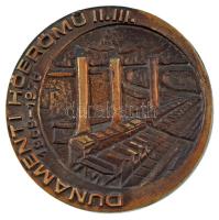 1976. "Dunamenti Hőerőmű II. III. 1969-1976 / ERBE" öntött bronz plakett (98mm) T:AU