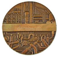 DN "Gyér és Gépszerelő Vállalat 25 éves törzsgárda tagságért - GYGV" kétoldalas, öntött bronz plakett, előlapon gravírozásra kihagyott hellyel (102mm) T:AU