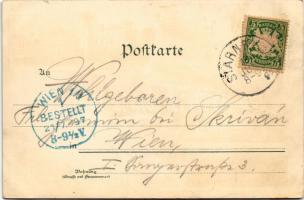 1897 (Vorläufer!) Starnberger See, Starnberg v. d. Villa Prinz Karl, Schloss Berg, Schloss Possenhof...