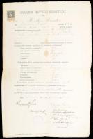 1913 Losonci érettségi bizonyítvány és egyéb bizonyítványok