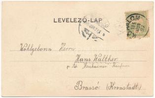 1905 Kőhalom, Reps, Rupea; Heilquelle Repser Schwefelbad / kénes fürdő. Szecessziós virágos keret / ...