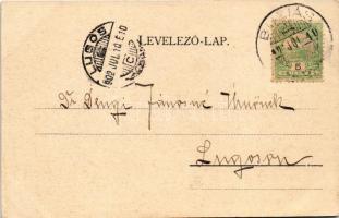 1902 Buziás, Baile Buzias; Huzli István nagy áruház üzlete és Huzly saját kiadása / shop