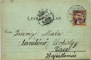 1900 Pozsony, Pressburg, Bratislava; blumenaui (lamacsi) csata emlékműve a Zerge-hegyen, színház, hí...