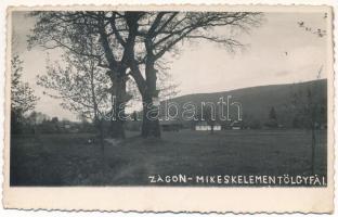 1941 Zágon, Zagon; Mikes Kelemen tölgyfái / the oak trees of Kelemen Mikes. photo (kis szakadás / sm...