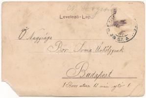 1901 Temesvár, Timisoara; Gyárváros, Coronini tér. Polatsek kiadása / square (b)