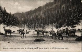 Mürzsteg (Steiermark), Hirschfütterung im Jagdrevier Sr Majestät Kaiser Franz Josef I. / Deer feeding in the hunting grounds of His Majesty Emperor Franz Joseph I. at winter