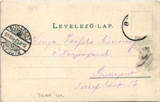 1899 (Vorläufer) Szekszárd, Szegzárd; gimnázium, Garay tér, Törvényszék, Széchenyi utca. Báter János...