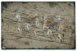 Berán Lajos (1882-1943) ~1930. "DUNA - Budapesti Evezős Egylet" ezüstözött bronz emlékplak...