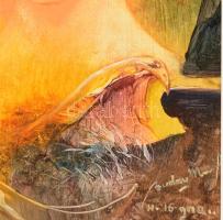 Buday Mihály (1953-): A rabul ejtett idő. Olaj, farost, jelzett, hátoldalán a művész autográf aláírá...