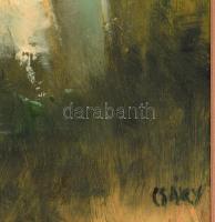 Csáky Lajos (1950-): "Múló idő". Olaj, farost, jelzett, hátoldalán autográf felirattal, fa...