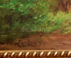 Mészáros Erzsébet (1962-): Sétálók. Olaj, farost, jelzett, dekoratív fakeretben, 30×40 cm