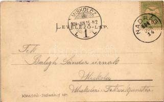 1904 Nadrág, Nadrag, Steinacker; Eisenwerk Nadrág, Walzhütte, Heizhaus / vasgyár, hengermű telep, ka...