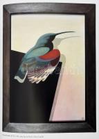 Szemadám György. Somorja, 2007, Méry Ratio. Gazdag képanyaggal illusztrált. Kiadói kartonált papírkö...