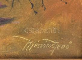 Mészáros Jenő (1883-?): Csendélet. Olaj, vászon. Jelezve jobbra lent. Dekoratív, sérült fakeretben, ...