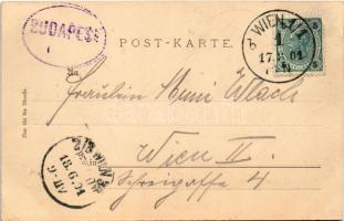 1901 Wachau, Schönbichl, Melk, Dürrenstein, Teufelsmauer. Lichtdruck u. Verlag v. Max Jaffé Nr. 213....