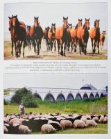 Magyar világörökség. Szerk.: Gáspár Zsuzsa. Bp., 2003, Officina' 96. Gazdag képanyaggal illuszt...