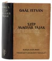 -  Gaál István: Szép magyar tájak. Budapest, 1944, Királyi Magyar Természettudományi Társulat. Kiadói aranyozott gerincű félvászon kötés, kissé foltos, kopott borítóval, fekete-fehér fotókkal illusztrálva. Egyetlen kiadás.