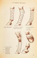 Flandhoffer Tamás-Hajas József: Ló és lovaglás. Bp., 1985, Mezőgazdasági. Kiadói kartonált kötés, jó...