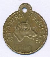 1935. "Zemplén vármegye" bronz ebadójegy / kutyabárca, "02879" sorszámmal (33x29...