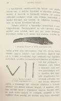 Schuchhardt Károly: Schliemann ásatásai Trója, Tiryns, Mykéne, Orchomenos és Ithakában. Ford.: Dr. Ö...