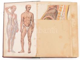 Tolnai: Orvos a családban I-V. kötet. Bp., Tolnai Nyomdai Műintézet és Kiadóvállalat. Aranyozott ger...